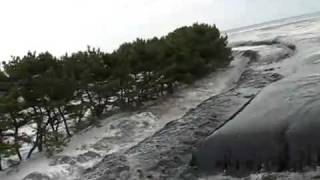 Japan Tsunami 2011 - One Brave Soul -