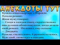 АНЕКДОТЫ *Как правильно не отдавать долги и как научить кошку готовить*