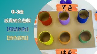 0-3歲感覺統合遊戲-自製教具《彩色毛球投擲遊戲組》