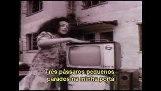 Bob Marley - Three Little Birds (Tradução - Legendado PT/BR)