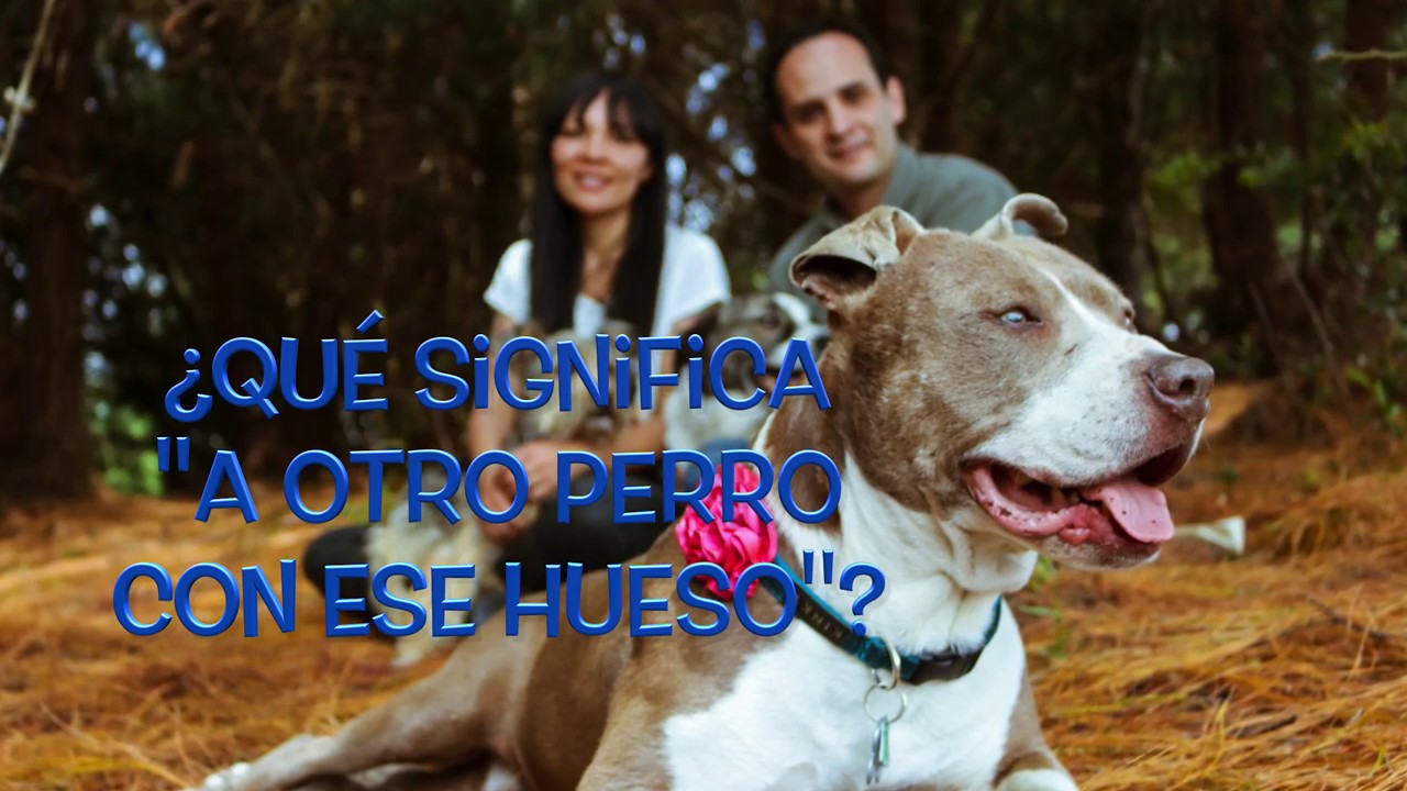 ¿Qué significa "A Otro Perro con ese Hueso"? - YouTube