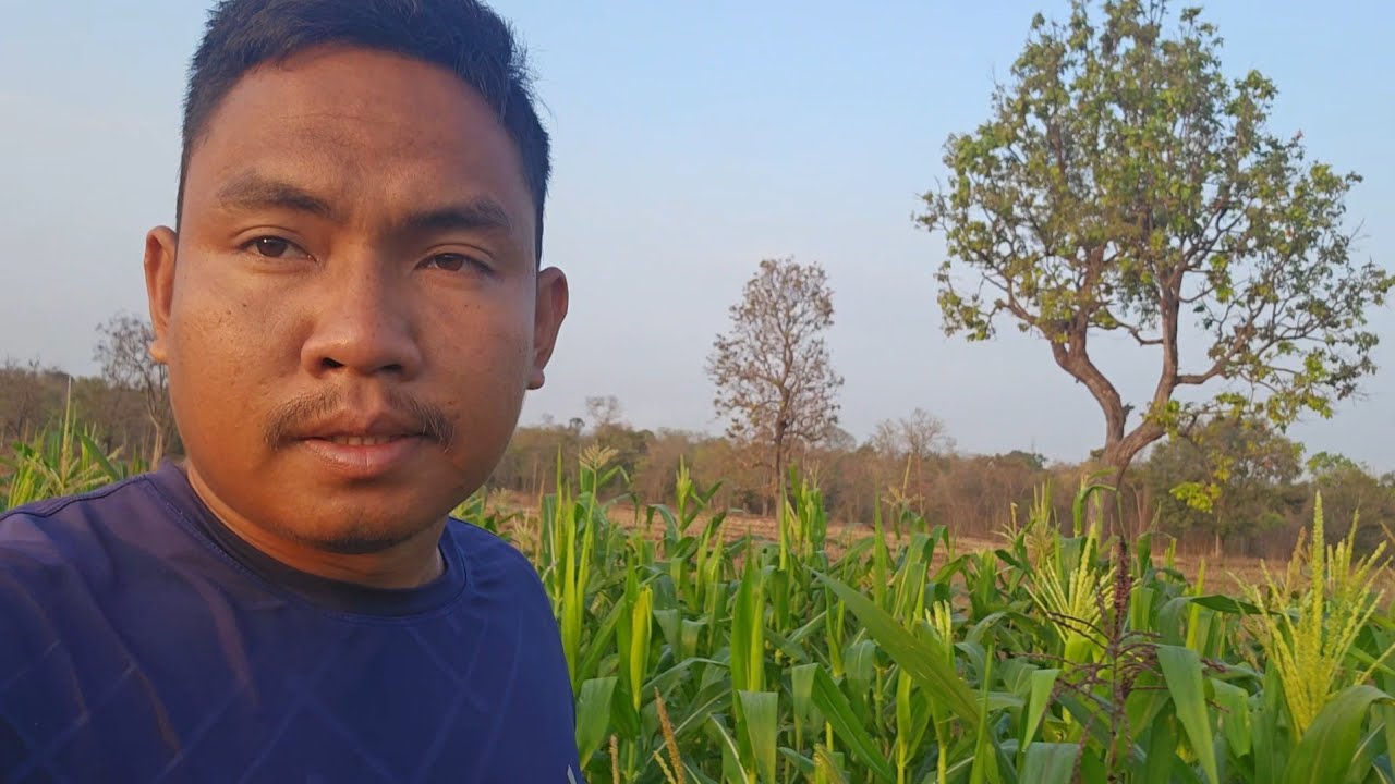 หลายคนถามหาน้องหลีดทุกๆย่างมันไม่เหมือนเดีมแล้วเด็กๆช่วยกันหดสวน