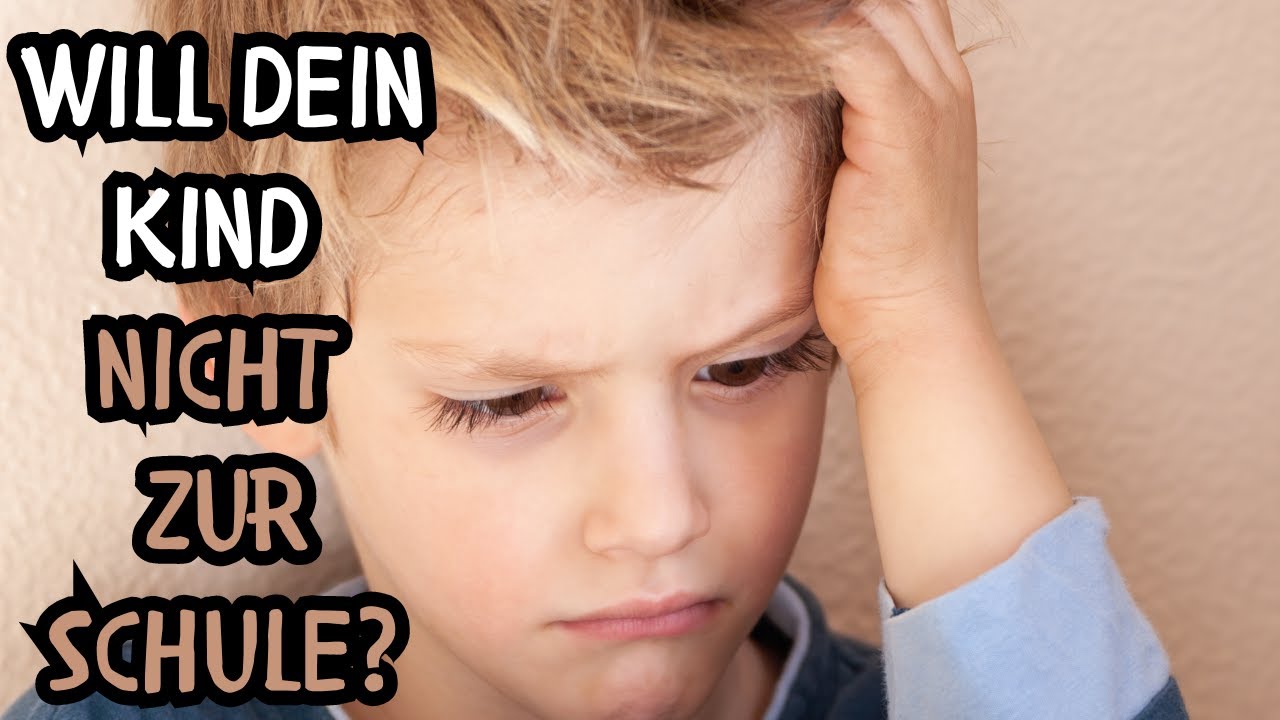 Warum viele PDA Kinder nicht gern zur Schule gehen! Was sich ändern muss!