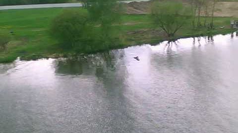 Multiplex TwinStar with floats and with on-board 20g camera , flight and landing 2