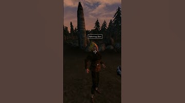 Killing the adoring fan in Morrowind every day until Skywind and Skyblivion are released Day - 885