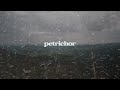 Mark Diamond Petrichor Official Audio mp3