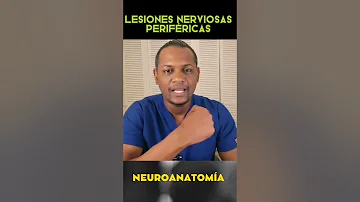 ¿Cómo se curan las lesiones nerviosas?