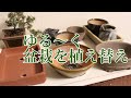 ゆる～く盆栽を植え替えします