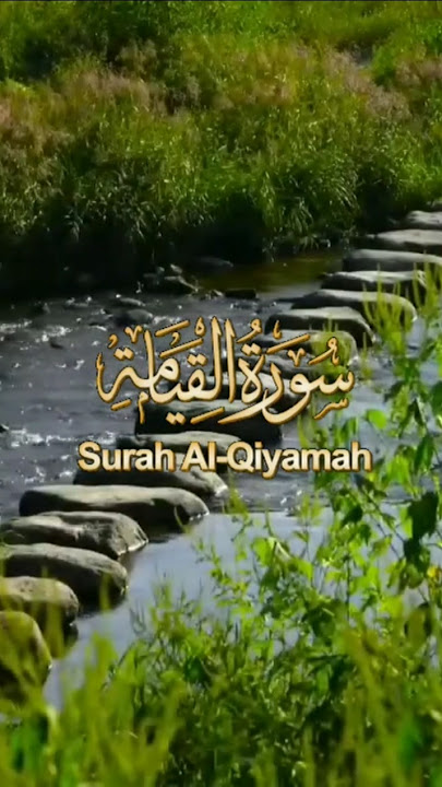 Bisa dicek full videonya di channel ini yaa😊.#quran #murottal #alqiyamah #surah #fyp #fypyoutube