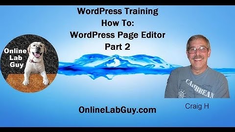 WordPress Pages Tutorial- The Editor Part 2