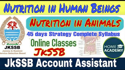 Nutrition in Human beings JkSSB Account Assistant exam by home Academy