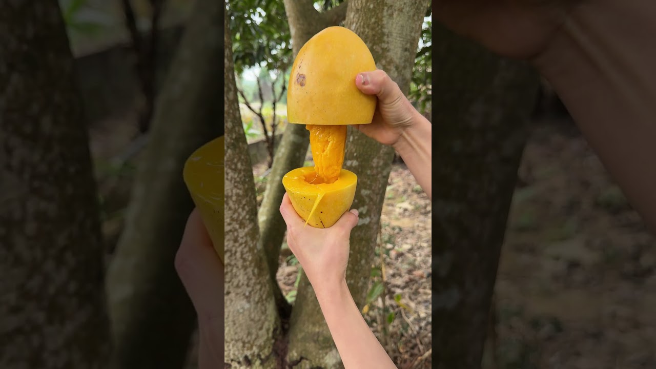 ASMR Mango Slicing ,Smooth ,Juicy 🤤