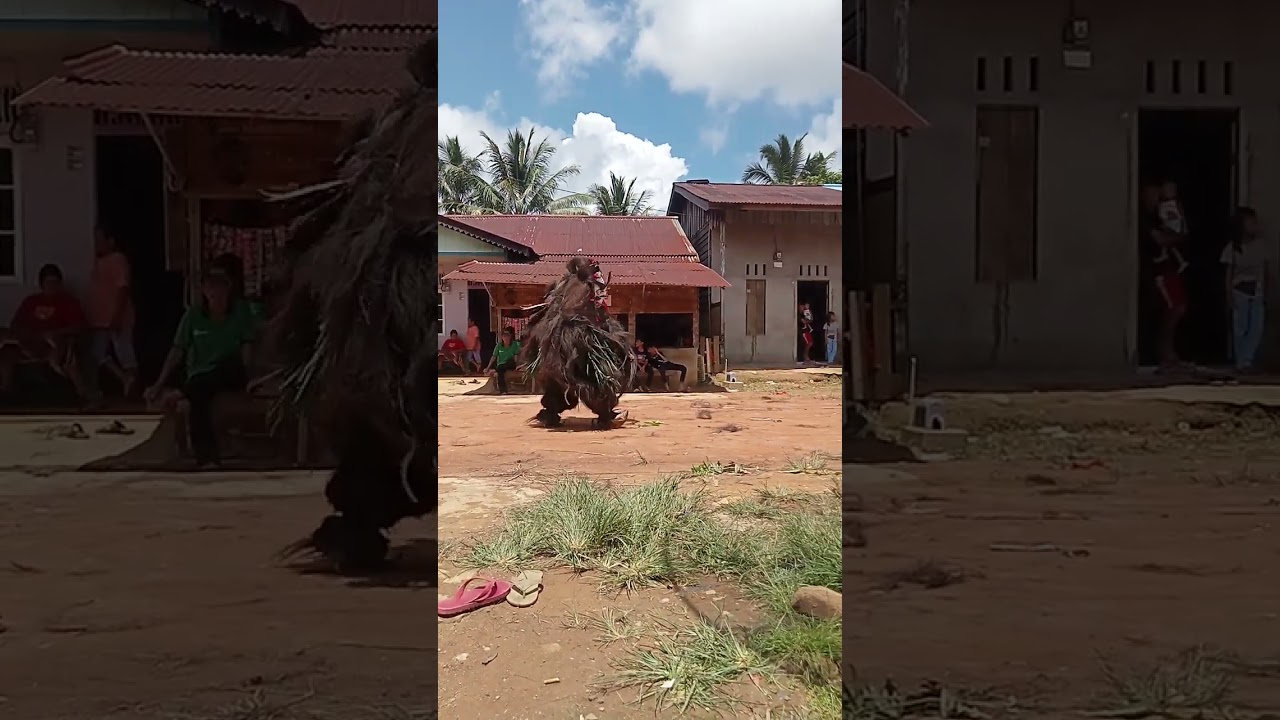 nopeng/nyeser suku dayak Taba di dusun syam tahun 2024 part 7