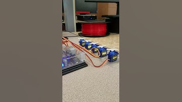 Synchronized servo motors