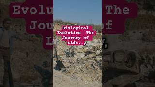 Biological Evolution  The Journey of Life #BiologicalEvolution #JourneyOfLife #evolutionexplained