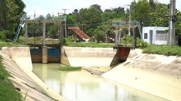 Nâng cao chất lượng nước trong hệ thống công trình thủy lợi Dầu Tiếng