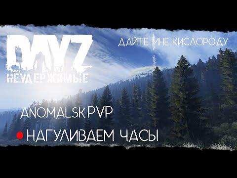 Видео: ❤ STREAM:  DayZ Неудержимые.  БУДНИ. ANOMALSK PVP