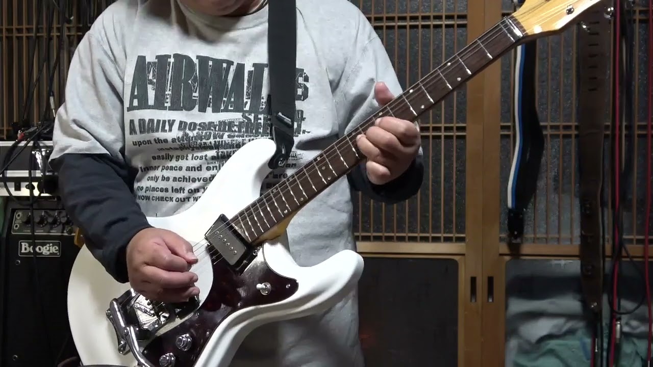 Zen on ZES 300 & PEAVEY 6505 MH Mini Head Japan Edition  001