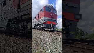 2ТЭ116У-0125 с грузовым следует на Ртищево #поездавидео #train #рждмояработа #ржд
