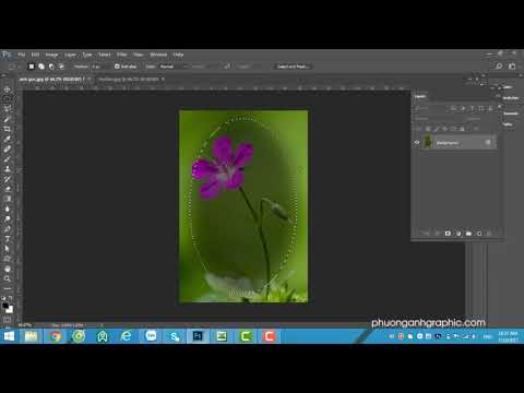 Bài 10 Làm mờ biên vùng chọn trong Photoshop