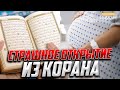 СТРАШНОЕ НАУЧНОЕ ОТКРЫТИЕ ИЗ КОРАНА