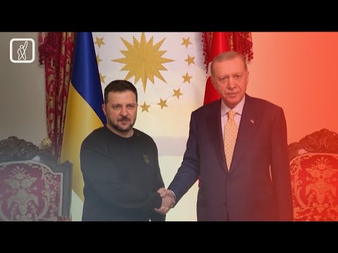 მზადება სამშვიდობო სამიტისთვის