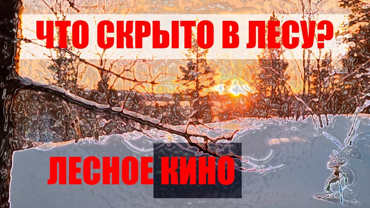 Землянка 10 серия. Землянка своими руками. Ближе к природе. Дикая и ...