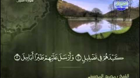 سورة الفيل الشيخ محمد المحيسني