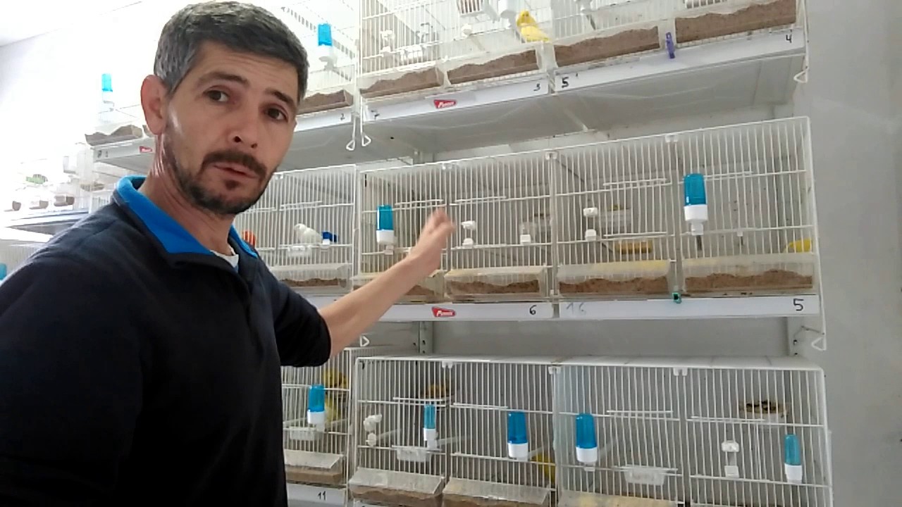 Como criar con nodrizas y parejas estables - YouTube
