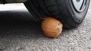 Experiment Car Vs Coconut
