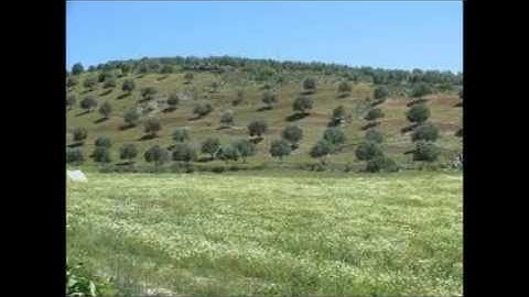 Sourat Al-Nahl Al-khazabri - سورة النحل - عمر القزابري