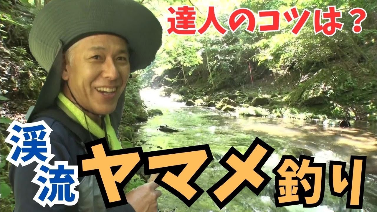 テンカラ釣りで”渓流の女王”を狙え！亮さんがヤマメ釣りに挑戦！【田村亮の釣りまか！249】