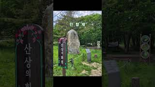 야생화들 피어있는 초여름의 만항재