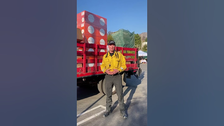 Palisades Fire Repopulation Update Video