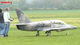 Giant Xxl Aero L-39 Albatros | Prowing 2023