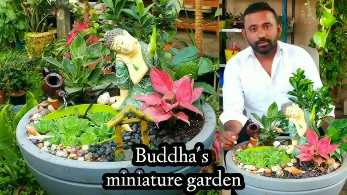 Miniature Gardening: How to Make a Miniature Garden and its Benefits – Root  Bridges
