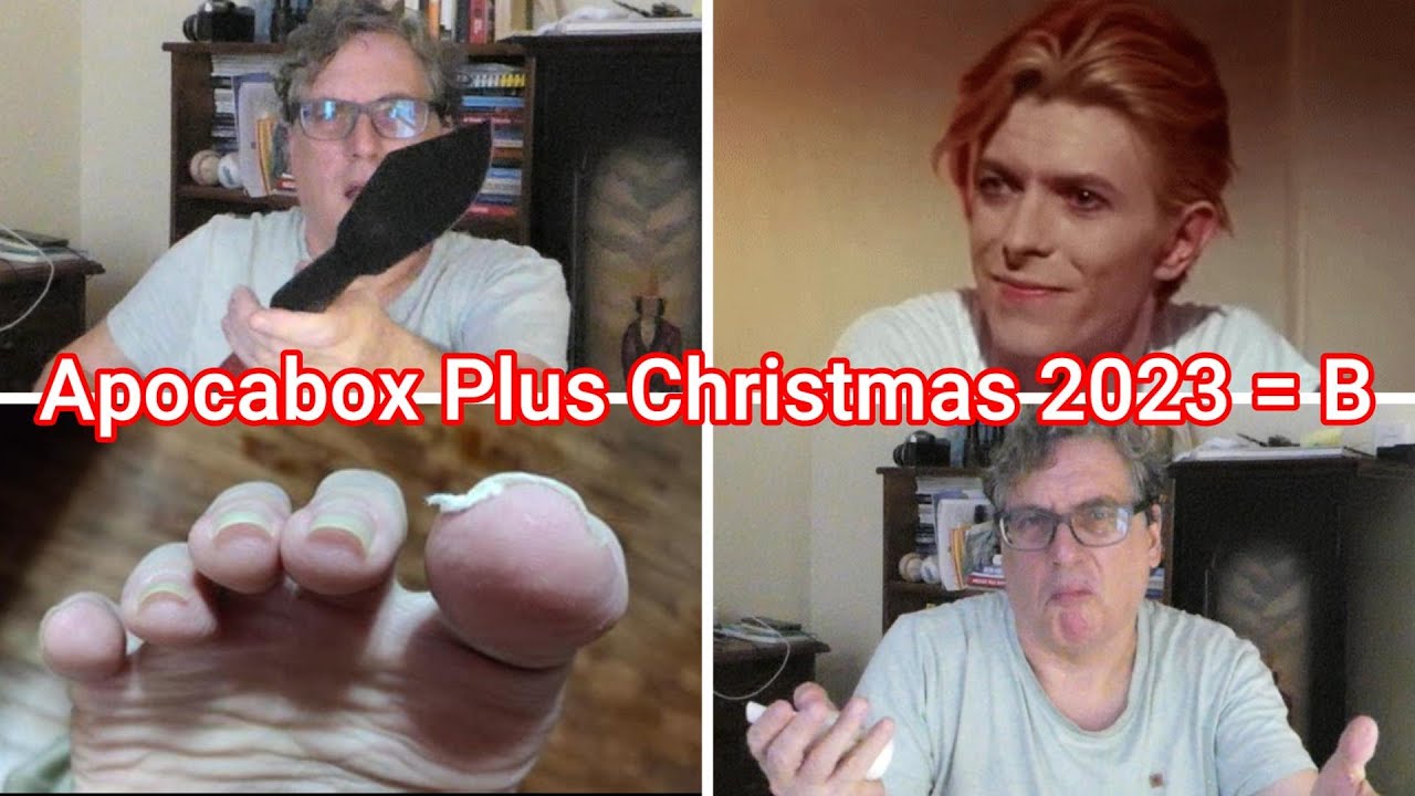 Apocabox Christmas 2023 = B