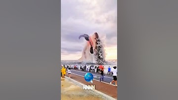 Before VS After Animal Transformation Amazing Animals Transformation | PART.7#animals#cutepets