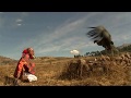 EL MENSAJE DEL CONDOR - The Condor Message - Ñaupany Puma
