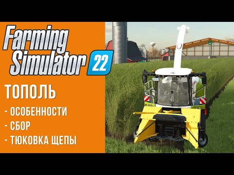 Видео: 🥢 Тополь и щепа в Farming Simulator 22
