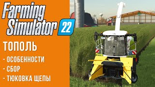 🥢 Тополь и щепа в Farming Simulator 22