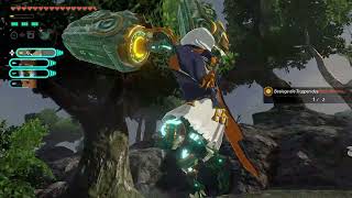 Hyrule Warriors: Chronik der Versiegelung - Zum Schutz des Sumpfes