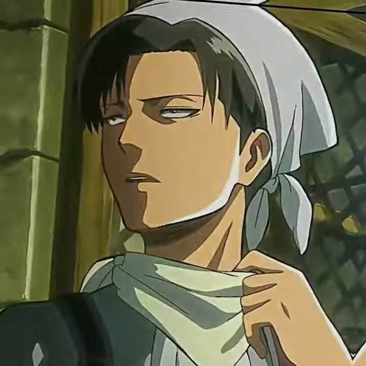 || Anime || Attack On Titan (A.O.T) || Levi Ackerman || Dj numa numa ye ||