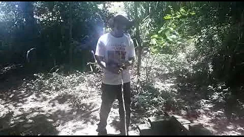 Como recuperar uma nascente que secou?