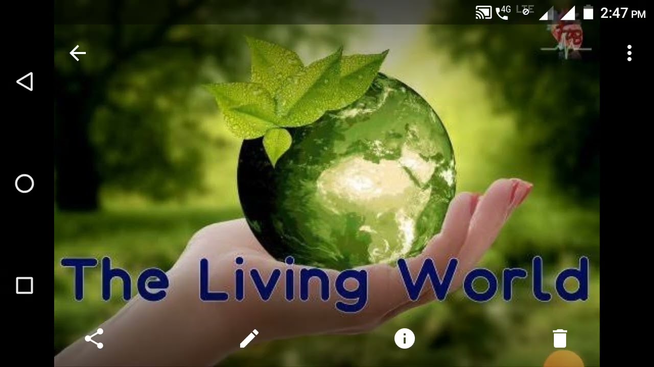 THE LIVING WORLD || Key points || Neet Botany || English version