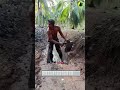 enfants pris par bateau dans plantations de cocotiers #Vietnam #Agriculture #Innovation2025