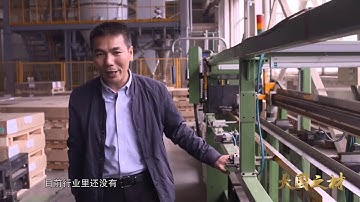 The development history of China