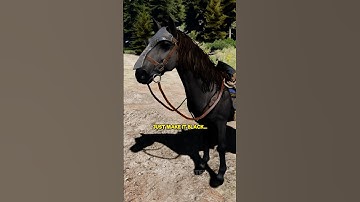 You Can Get a Brand New Horse in The Witcher 3! #TheWitcher3