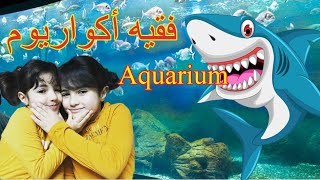 رحلة إلى فقيه أكواريوم جدة ??jeddah Aquarium