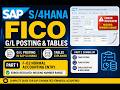 SAP G/L Posting in S/4HANA | F-02 Entry with Error Fix + Tables (Step-by-Step)